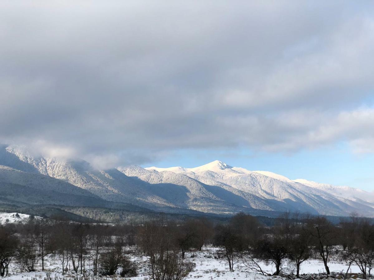 Belvedere Holiday Club .......Vip Apartament Bansko Zewnętrze zdjęcie
